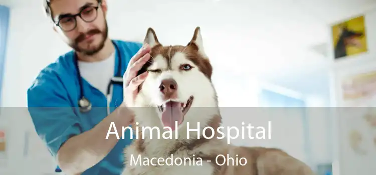 Animal Hospital Macedonia - Ohio