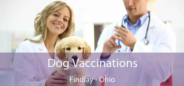 Dog Vaccinations Findlay - Ohio