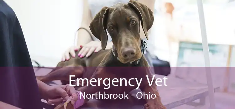 Emergency Vet Northbrook - Ohio