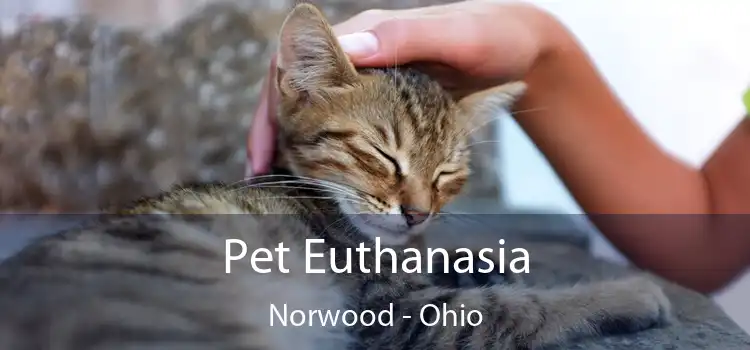 Pet Euthanasia Norwood - Ohio