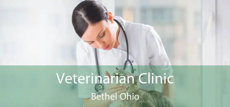 Veterinarian Clinic Bethel Ohio