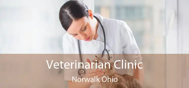 Veterinarian Clinic Norwalk Ohio