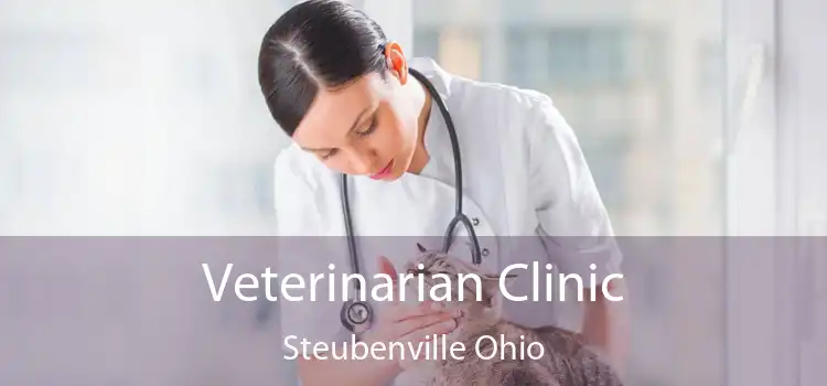 Veterinarian Clinic Steubenville Ohio